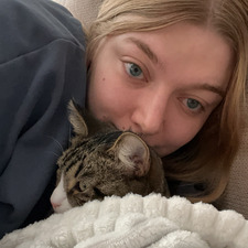 Isabel &#x1f337;✨&#x1f353;&#x1f9f8;