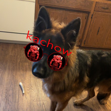 Kiera