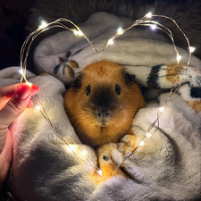 Michaela Žaloudková