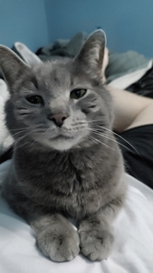 Sebastian  Allen  Davidson