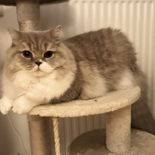 Carolina &#x1f423;&#x1fab7;&#x1f33b;