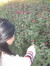 Anam