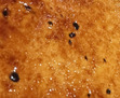 zhang