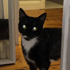 Millie