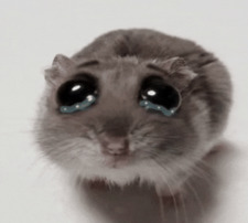 bübü bubu