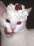 milly