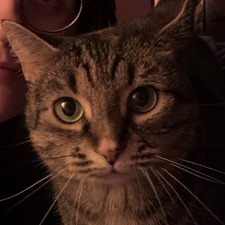 Sam