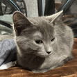 Jane