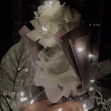 BurntChickenNuggets &#x1f33a;