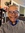 John Bell (johnhb2) | 1 comments