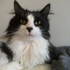 Taïka Martel-Leclair