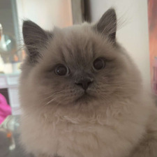 Ella💗