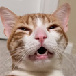Alistair