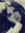 Saana