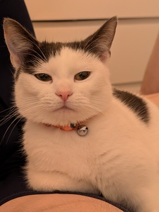 Vanessa Godinho D'Mello