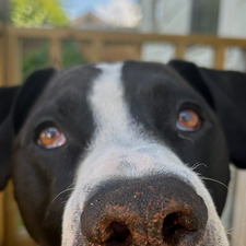 Mackenzie