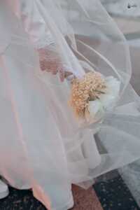 أميرة محمود