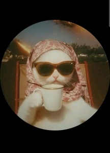 stylesun__ (taylor's version)