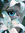Nyx Solis | 5 comments