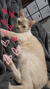 Abby