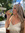Kortney Roy (kortneykayroy) | 1 comments