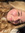 Breyyy | 5 comments