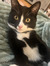 Ettie