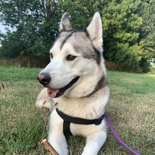 Skye