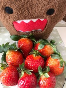 jnn4 ( ´ ꒳ ` ) ♡	