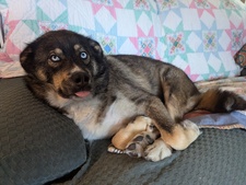 Max