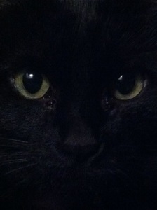 Zee