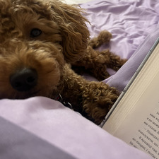 Олександра Линник