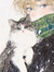 ૮ ˶ᵔ ᵕ ...