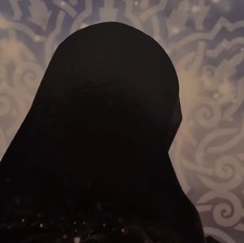 سلمى سليمان