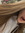 Lottie