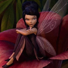 Aylin