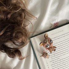 Stella ౨ৎ ⋆｡˚