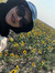 Soha