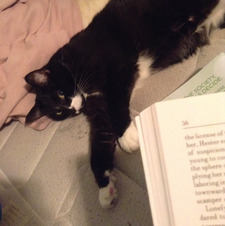 Isabelle Morency-Carr