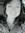 Toni Fornwalt