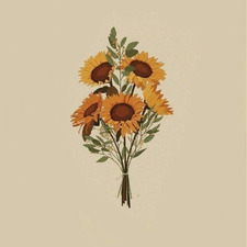 sunflower 🌻