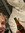 Thomas Elmue Gregersen