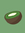 Probably Kiwi