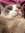 Martina Tavernelli