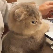 Ces’t pas possible 