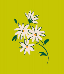 claracluc