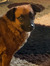 Rylee