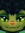 Cas | 2 comments
