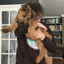 Harry Day