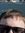 Hafsteinn Júlíusson